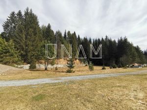 ***OFERTA NOUA*** Teren lângă Scenă, în Poiana Lupului, Gărâna - imagine 20