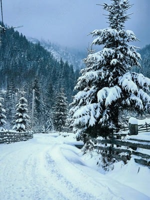 Cazare Colibița - Casa Lipan | Relaxare, Confort și Natură, Aproape de Lac și Spa - imagine 7