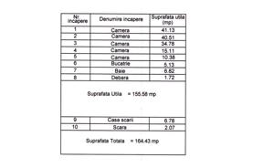 Conac lux, 11 camere, pretabil camin batrani, pensiune - imagine 14