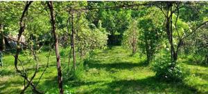 De vinzare propietate in Statiunea Targum Ocna