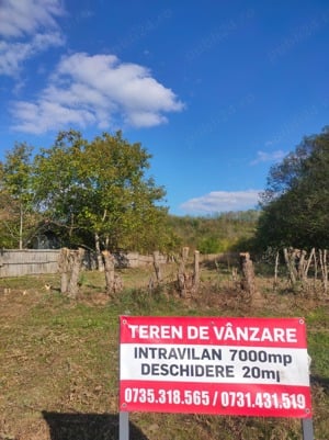 Teren intravilan 7000 mp - imagine 7