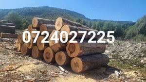 Lemne pentru foc fag - imagine 2