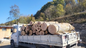 Lemne pentru foc fag - imagine 4