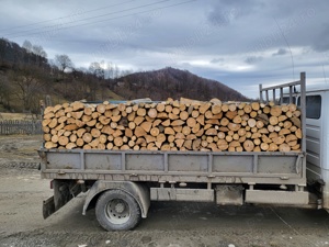 Lemne pentru foc fag - imagine 5