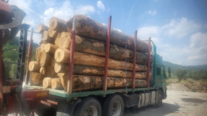 Lemne pentru foc fag - imagine 3