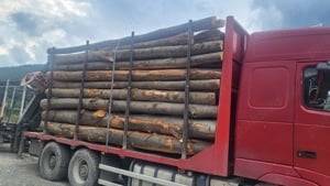 Lemne pentru foc fag