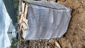 Lemne pentru foc fag - imagine 6