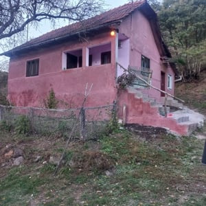 vând casă cu teren 3,6 hectare în jurul casei 