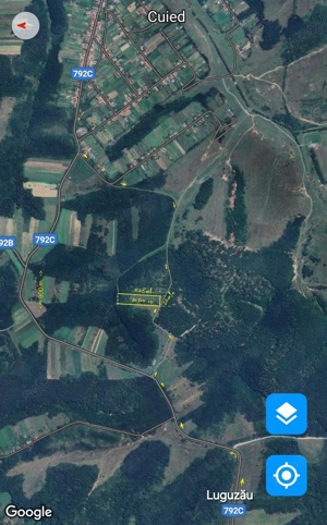 GRATIS 500.mp.VIND teren cu padure 1,05.Ha.( zona  Moneasa, loc. Cuied.). - imagine 4