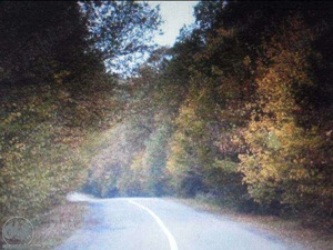 GRATIS 500.mp.VIND teren cu padure 1,05.Ha.( zona  Moneasa, loc. Cuied.).