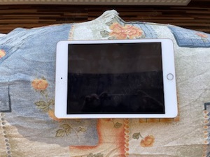 Tableta iPad mini 4 16Gb - imagine 1