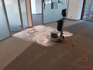 Curatare profesională tapițerii  - imagine 3