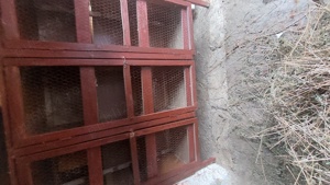 Cușcă  iepuri  - imagine 5