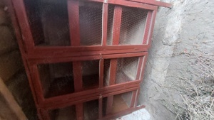 Cușcă  iepuri  - imagine 3