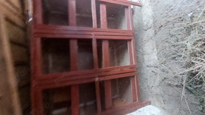 Cușcă  iepuri  - imagine 2