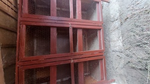 Cușcă  iepuri  - imagine 6