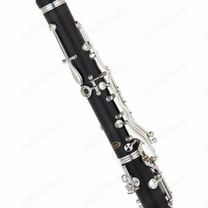Set Clarinet Yamaha YCL-450M