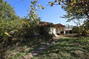 Casa de vanzare | 1836 MP teren  | Magurele, Prahova | COMISION 0%