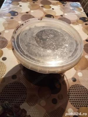 vand gem prune - imagine 2