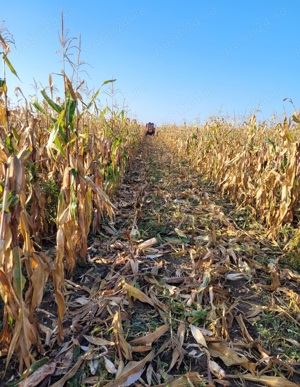 Zmaj224 zemun ,vând sau schimb !!! - imagine 8