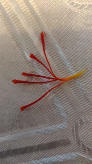 Sofran  de vânzare, calitate  foarte bună 