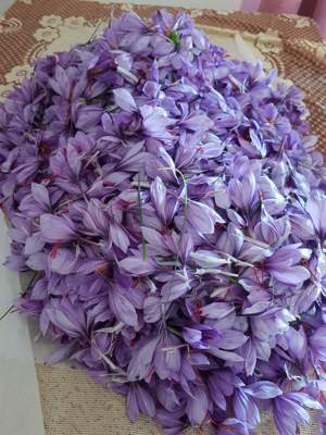 Sofran  de vânzare, calitate  foarte bună  - imagine 7