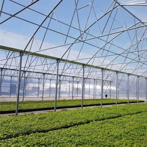 Folie Plastika Kritis Kritifil    2996 Crystal Clear