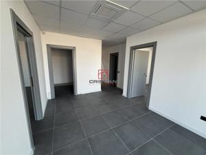 Inchiriere depozit hala spatiu industrial Chiajna - Chitila - Rudeni - imagine 7