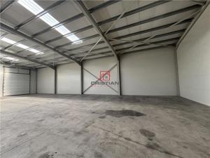 Inchiriere depozit hala spatiu industrial Chiajna - Chitila - Rudeni - imagine 6