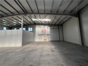 Inchiriere depozit hala spatiu industrial Chiajna - Chitila - Rudeni - imagine 9