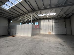 Inchiriere depozit hala spatiu industrial Chiajna - Chitila - Rudeni - imagine 5