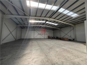 Inchiriere depozit hala spatiu industrial Chiajna - Chitila - Rudeni - imagine 10