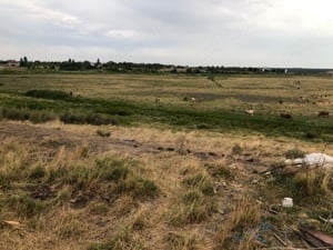 Angajez ingrijitor animale