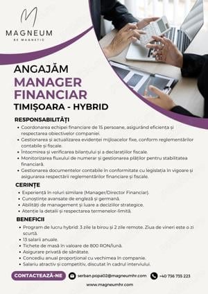 Angajăm Manager Financiar în Timișoara