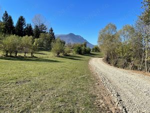 Teren la munte intravilan la 5 km de Moieciu si 20 km de Fundata