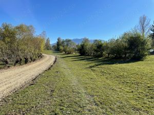 Teren intravilan zona Bran-Tohanita, judetul Brasov intre 500 si 1000 mp la 5 km de Moieciu  - imagine 9