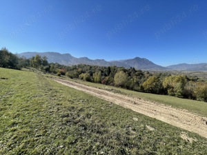 Teren intravilan zona Bran-Tohanita, judetul Brasov intre 500 si 1000 mp la 5 km de Moieciu  - imagine 12