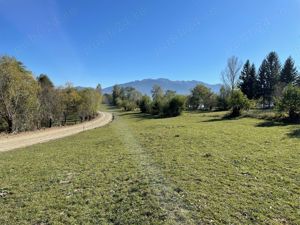 Teren intravilan zona Bran-Tohanita, judetul Brasov intre 500 si 1000 mp la 5 km de Moieciu  - imagine 13