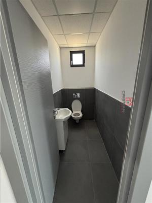 Inchiriere depozit hala spatiu industrial Chiajna - Chitila - Rudeni - imagine 12