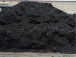 Pamant vegetal de padure negru, pamant pentru grădină, pamant flori Bucuresti