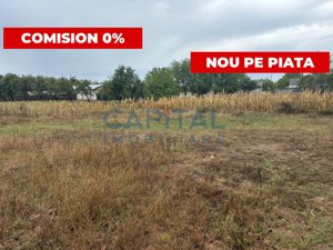 OFERTA!!! COMISION 0%!!! Teren de vanzare la doar 3,5 km de Pitesti. - imagine 3