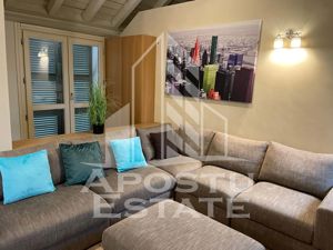 Apartament central tip penthouse,cladire istorica - imagine 2