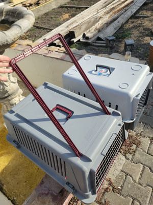 cusca de câine sau pisica 