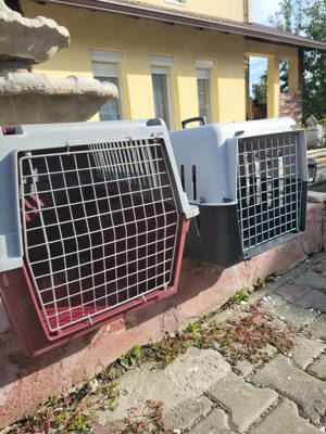 cusca de câine sau pisica  - imagine 2