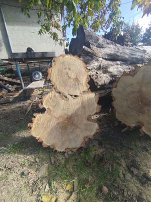 Rondele din lemn, dimensiuni mari - imagine 4