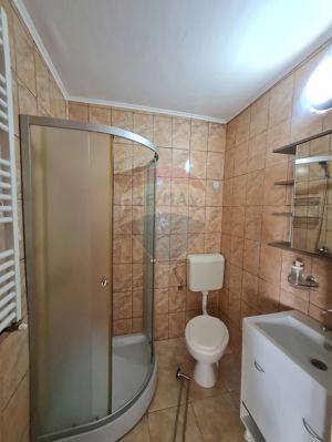 Apartament cu 4 camere renovat - imagine 5