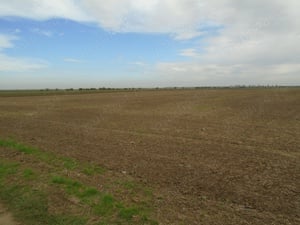 Teren agricol de vanzare Valea Argovei Frasinet Danesti