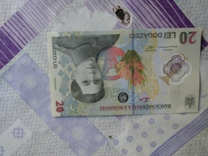 vand bancnota de 20 de lei