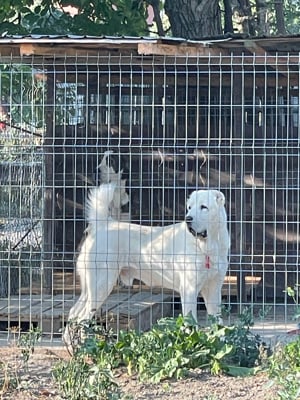 asia centrala fetite    - imagine 4 asia centrala fetite    - imagine 4