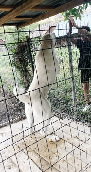 asia centrala fetite    - imagine 3 asia centrala fetite    - imagine 3